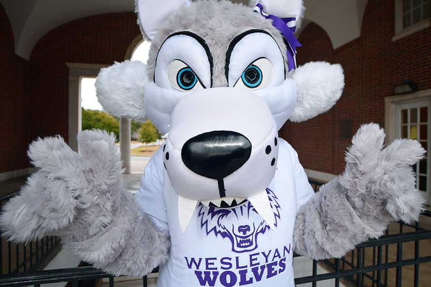 Wolf mascot looks into the camera.