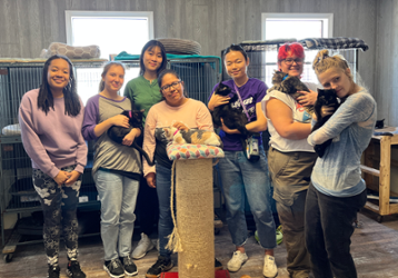 Cat Rescue &#39;23 taller