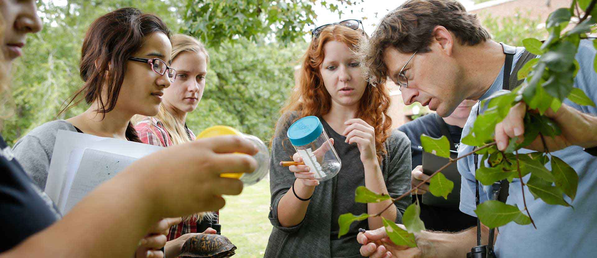 Students and faculty member takes samples in the arboretum